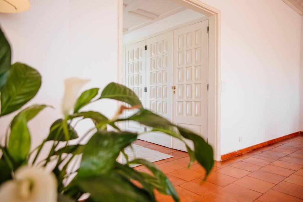 奎特里拉Penthouse S.Jorge Seaview T4公寓 外观 照片